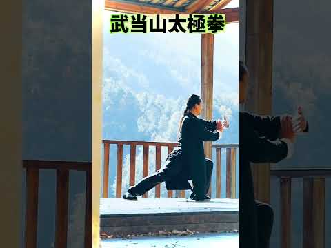 武当山太極拳