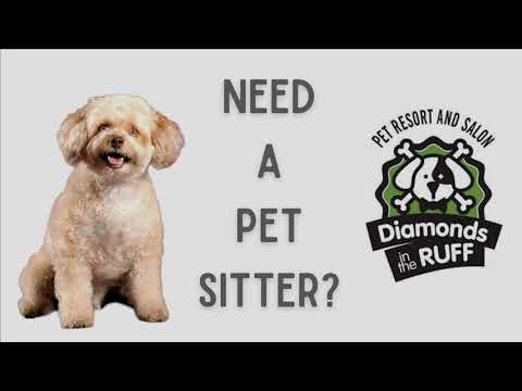 Diamonds in the Ruff Pet Resort and Salon - Need a Dog Sitter?