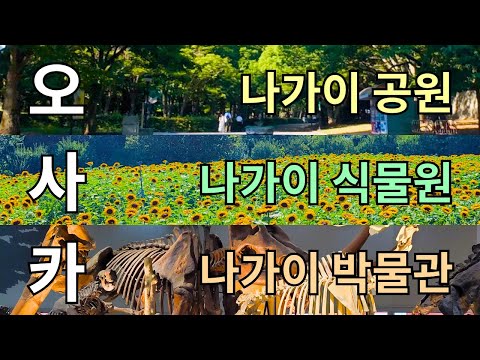 땡볕에 나가이 공원 돌아다니기🏞️ | 나가이 식물원 | 나가이 자연사 박물관 | 바이토 면접 | 세븐일레븐 유자 레몬 사이다 | 다이소 --- 【여기는 오사카🇯🇵】