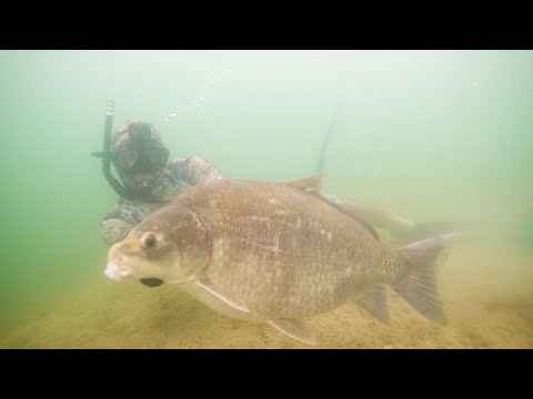 Freshwater Spearfishing Texas {Catch Clean Cook}