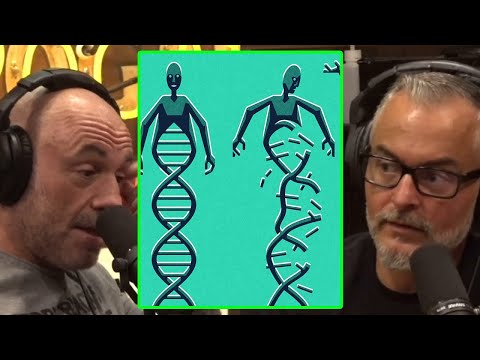 Who Bought All The DNA Data? | JRE Highlight