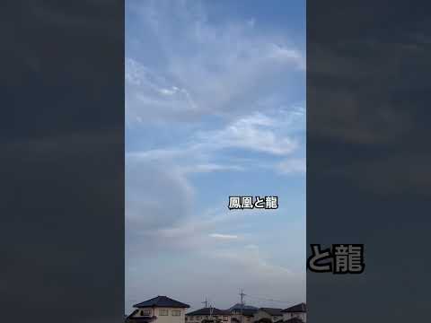 吉兆な空でした#shortvideo #shorts #short #龍神様 #龍雲 #sky