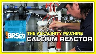 Week 32: Calcium reactor on the BRS160? You decide! | 52 Weeks of Reefing