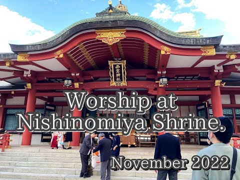 Worship at Nishinomiya Shrine. #Worship #shrine #nishinomiya