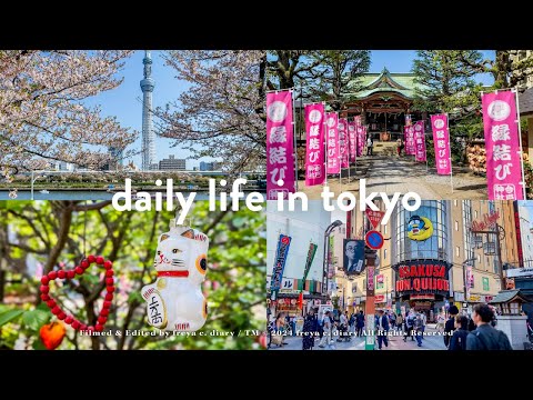 淺草一人散步💐隅田公園櫻花季尾聲 | 童話感滿滿💘招財貓戀愛神社 | 用整根白蘿蔔供奉的寺院 | 排隊伴手禮推薦🥇日本第一的銅鑼燒 | freya c. diary