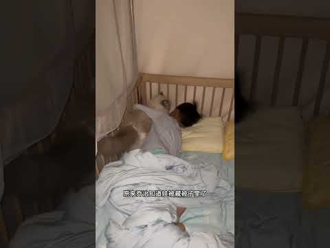 原来我家猫把人类幼崽当成它睡觉的阿贝贝了… #猫和孩子 #人类幼崽