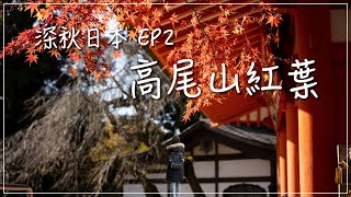 [深秋日本] EP2 來去賞紅葉｜高尾山紅葉、高尾山藥王院、六本木之丘展望台夜景