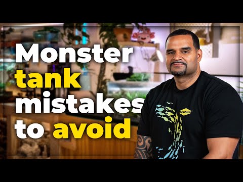 5 Things I Wish I Knew Before Keeping Monster Fish | With Kaveman Aquatics