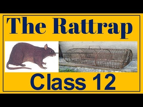 The Rattrap, Class-12 (Explained In Hindi)