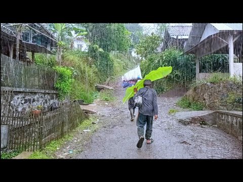 heavy rain in the village | who is greatly missed | the atmosphere and sound of heavy rain