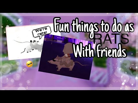 || *FUN* Things to do as RATS With friends! ft. Regal Rena || Mmp05 ||