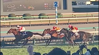 【有馬記念】64年振りの快挙！レガレイラと戸崎圭太騎手！3歳牝馬で勝利！現地映像ノーカット映像完全版 #有馬記念 #有馬記念2024