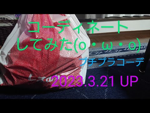 【コーディネート】手持ちの服で組み合わせてみた(o・ω・o)/しまむら/アラフォー