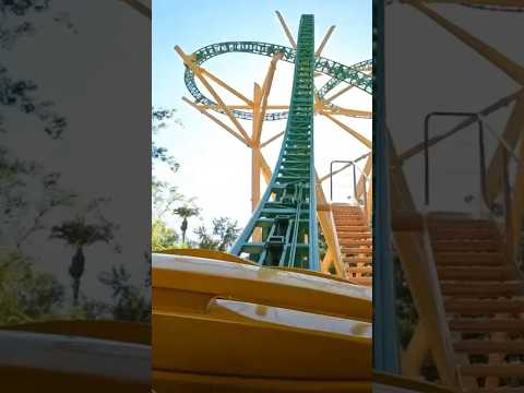 Cheeta Hunt Rollercoaster Bush Gardens Tampa #bushgardens #tampa #rollercoaster #ytshorts #florida