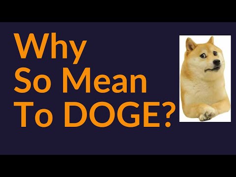 Why Am I So Mean To DOGE?