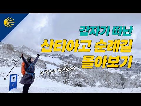 갑자기 떠난 산티아고 순례길 몰아보기 (프랑스길 800km)