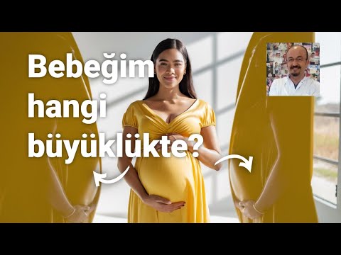 Hamilelikte Bebek Büyüklüğü Rehberi: Hangi Boyutta?