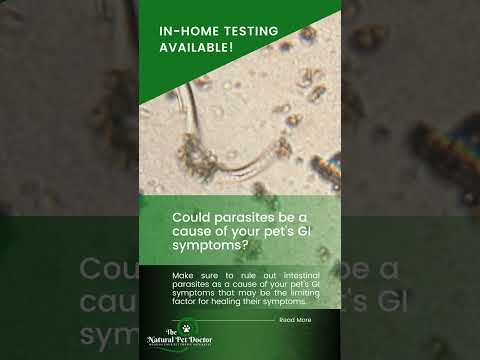 In-Home Pet Parasite Testing!