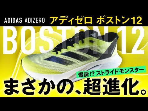 【特性が意外すぎた】ボストン12のレビュー