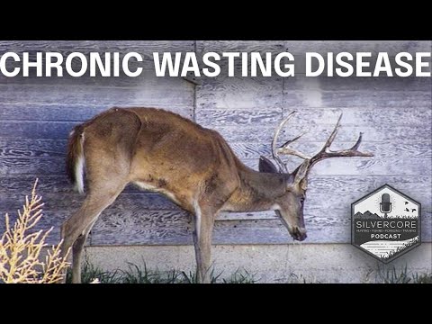 Silvercore Podcast Ep. 123: CWD Confirmed - What Hunters Need to Know