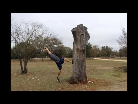 Tree Flip