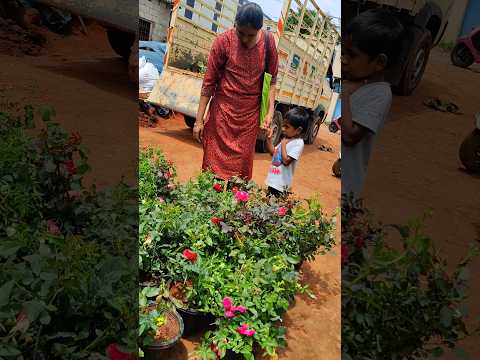 வகை வகையா ரோஜா செடி வாங்கியாச்சு #minivlog #vlogtamil #food #gardening #roseplant #vlogs #cooking