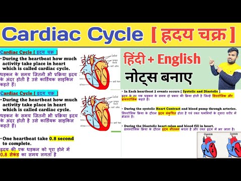 Cardiac Cycle in hindi | Cardiac Cycle of Heart | SA Node | AV Node | ह्रदय चक्र | Blood Circulation