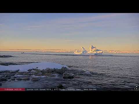 Nov 8, 2024: An Iceberg Calves Seconds before Boats Approach