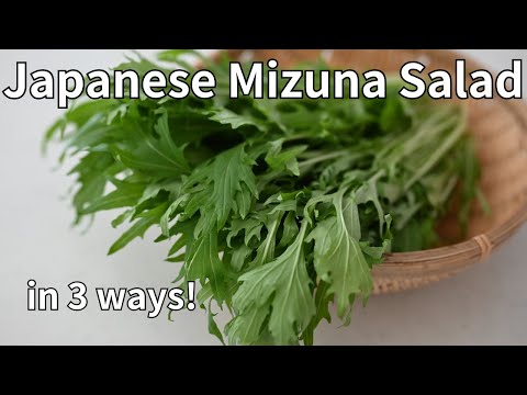 Vibrant & Healthy: Japanese Mizuna Salad for Any Meal!  with 3 Easy HomeMade Salad Dressing!