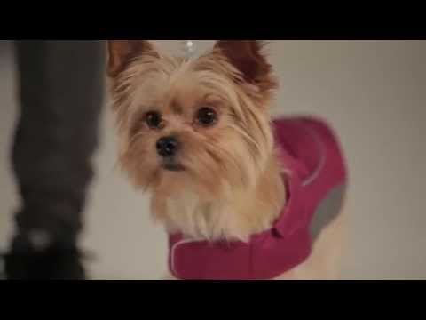 Strike-A-Paws 2014 - Ripstop Coat Magenta