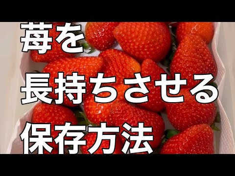 苺を長持ちさせる保存方法