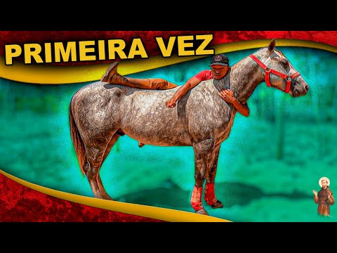 Montei no Cavalo - Primeira vez -