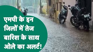 MP Weather: Madhya Pradesh के इन जिलों में मौसम विभाग ने भारी बारिश और ओले का जारी किया अलर्ट ! |