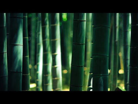 Relaxing Bamboo Water Fountain | Relaxing sound for Sleep, Study or Meditation | ASMR