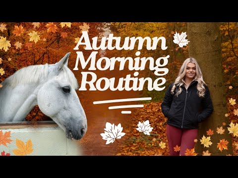 My 6 Horses Autumn Morning Routine