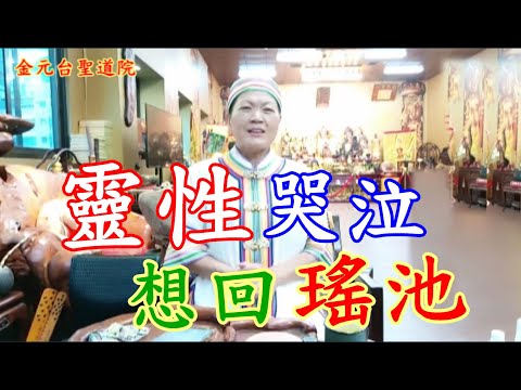 靈性哭泣 想回瑤池   金元台聖道院