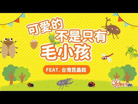 可愛的不是只有毛小孩 Feat. 台灣昆蟲館【編走編看】｜#哈寵PETube 第257集