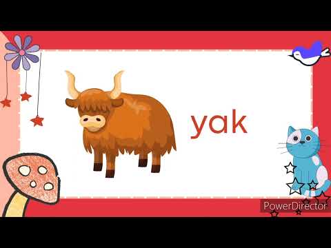 Letter Yy | Letter Sounds | Alphabet | Phonics | Read and Learn Words that Start with Yy