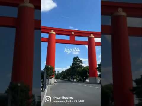 夏の京都 kyoto