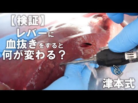 【究極の血抜き】魚界で超有名な津本式を使ってレバーの血抜きをやってみた！