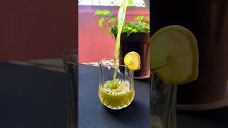 pudina juice recipe #pudinajuice #pudinarecipes #freshjuice #shorts