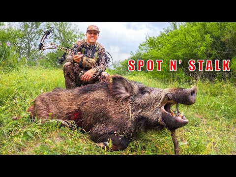 Big WILD BOAR Down!! (Texas Turkey Turned HOG HUNT)