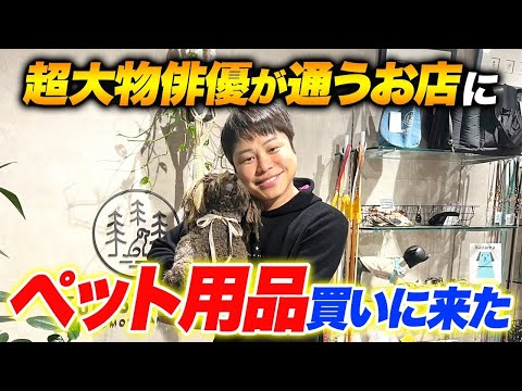 【最高の寝心地】ネットで気になっていた人気の愛犬用ベッドを購入！