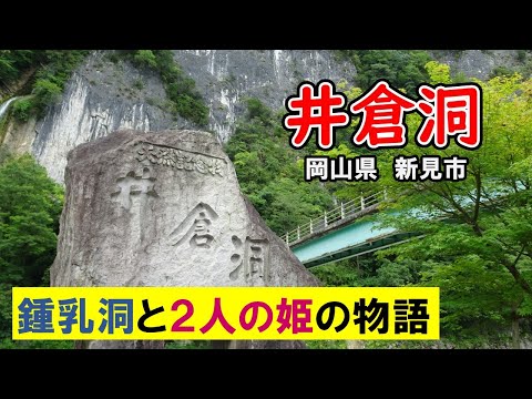 【井倉洞】毎日危険な暑さなので涼しい所へ行きました