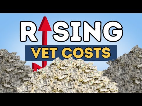 Escalating Vet FEES: Big Business is TAKING OVER Veterinarians