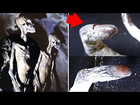 Scientist Forced To Admit The Truth About Those Nazca Mummies