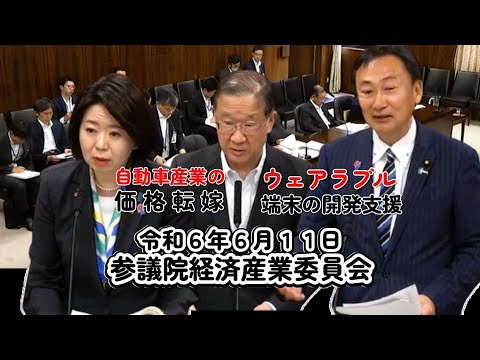 2024 6 11　経済産業委員会  ・古谷一之 公正取引委員会委員長　・自見 内閣府特命担当大臣　#西成区 #大正区 #住之江区 #大阪3区 #住吉区