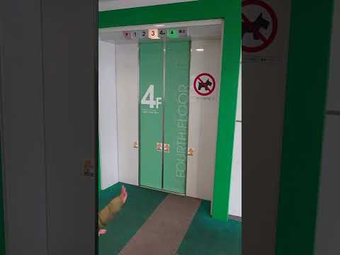 【グリーンのエレベーター】イオンダイヤモンドシティ武蔵村山店の立体駐車場側のエレベーター【JAPAN　elevator】