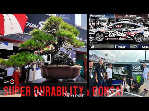 I tried promoting Omiya bonsai at the Super Endurance Race [Bonsai Q]