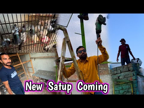 New Satup Coming || Khokhar Pigeons Club